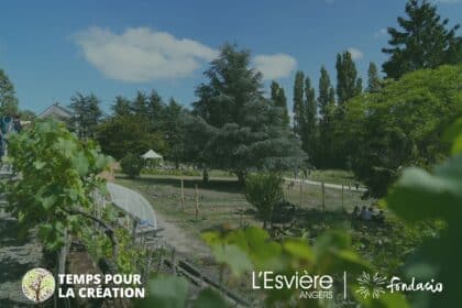 Un mois pour la Création à l'Esvière